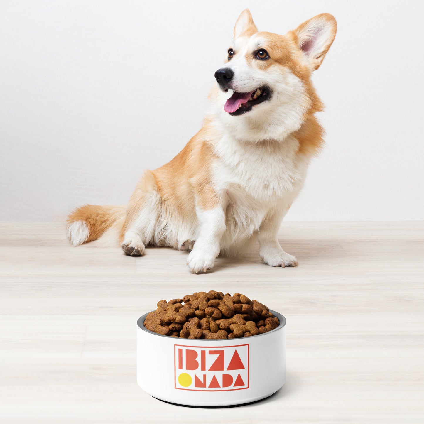 Pet Bowl Orange