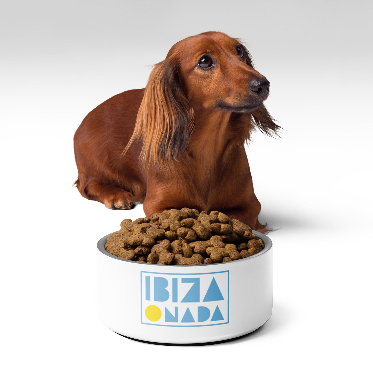 Pet Bowl Light Blue
